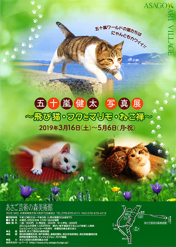 五十嵐健太 写真展 ～ 飛び猫・フクとマリモ・ねこ禅 ～