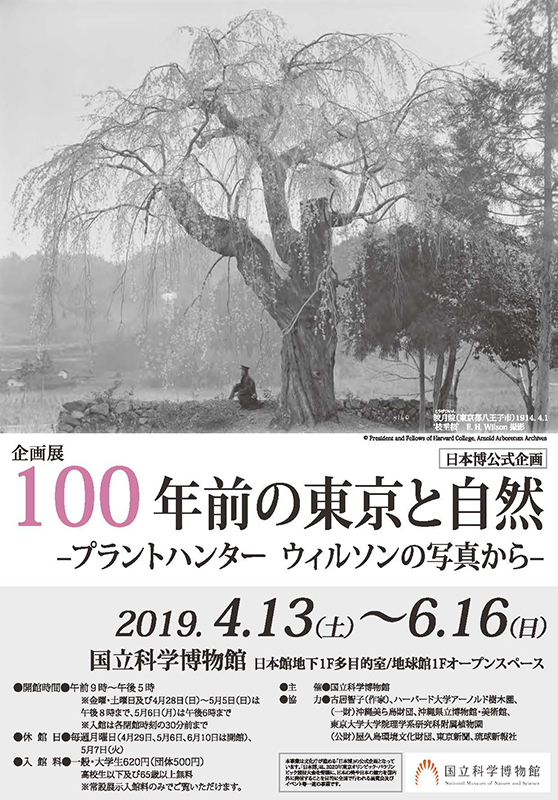 100年前の東京と自然 ― プラントハンター　ウィルソンの写真から ―