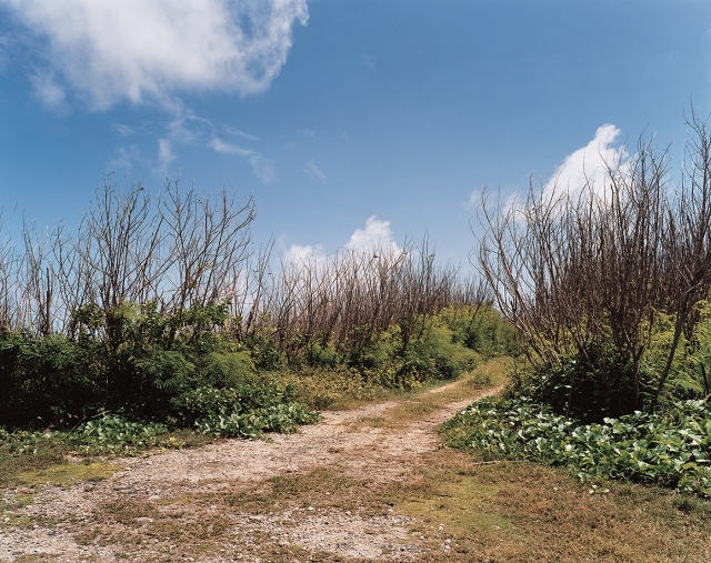 米田 知子《道―サイパン島在留邦人玉砕があった崖に続く道》2003  ©Tomoko YONEDA, Courtesy of  ShugoArts 