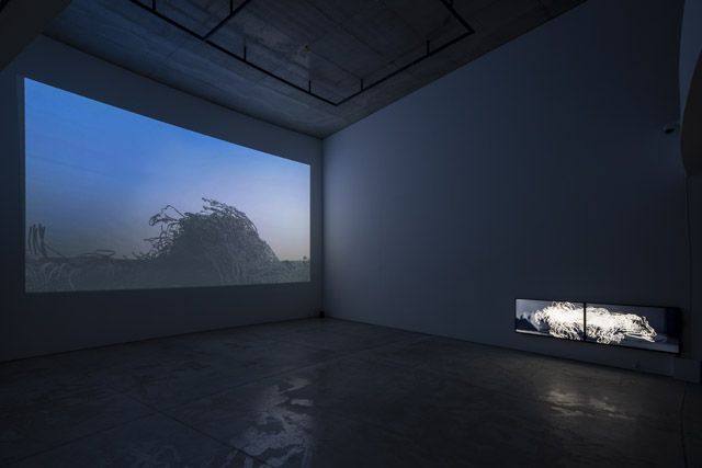 阪中隆文「アトピアを探して」2020年 会場風景 撮影：小山田邦哉  SAKANAKA Takafumi Wandering in Atopia Installation view, 2020  Photo by OYAMADA Kuniya