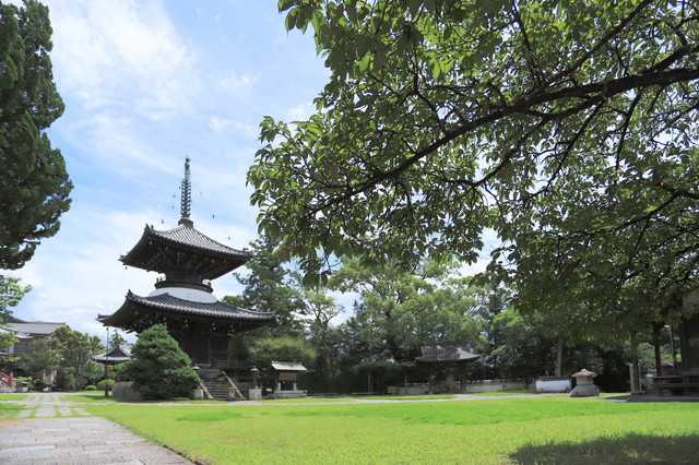 高山寺（田辺エリア）