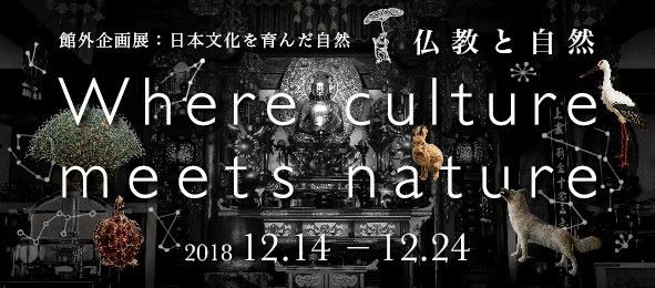  「Where culture meets nature」シリーズ第３弾「仏教と自然」：「自然史博物館が仕かける 「Where culture meets nature」展」赤坂志乃