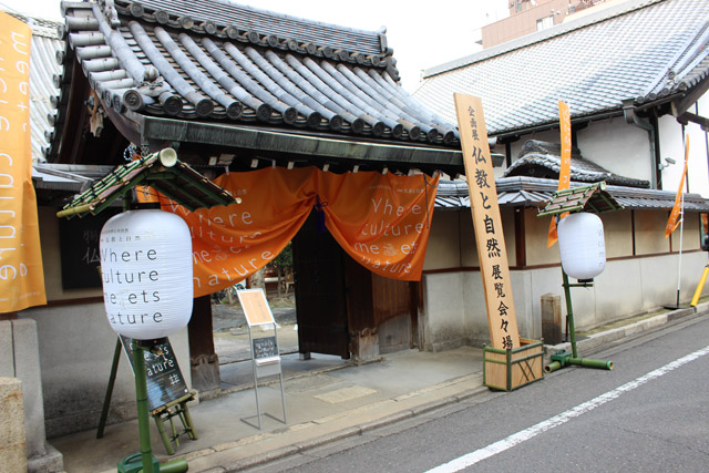 展覧会会場は、江戸幕府初代天文方・渋川春海ゆかりの龍岸寺：「自然史博物館が仕かける 「Where culture meets nature」展」赤坂志乃