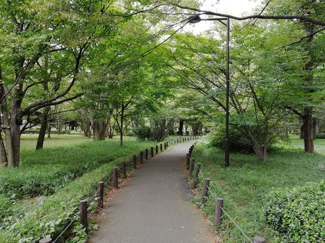 北の丸公園