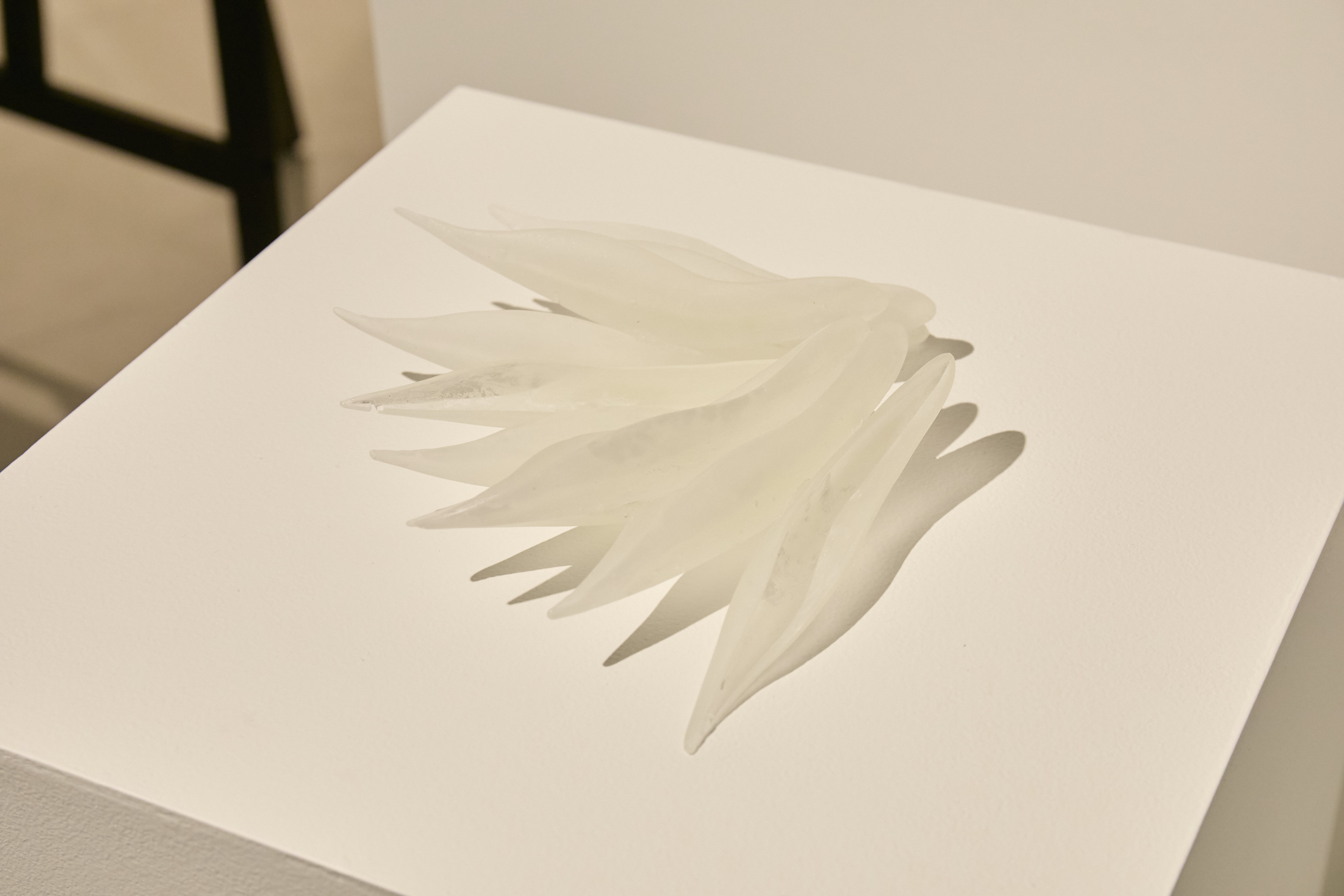 《誰がために咲く花》