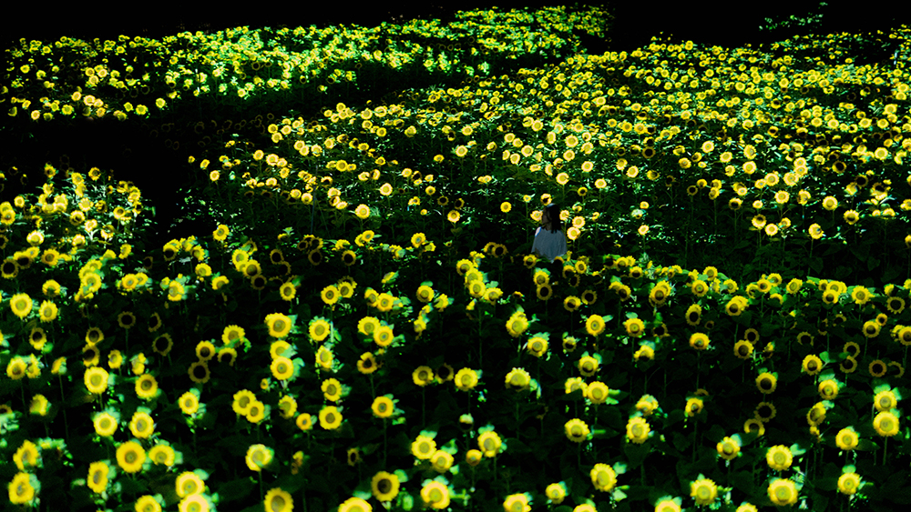 チームラボ《生命は闇に浮かぶまたたく光 - ヒマワリ》2022, Interactive Installation, Murano Glass, LED, Endless, Sound: Hideaki Takahashi © teamLab, courtesy Pace Gallery