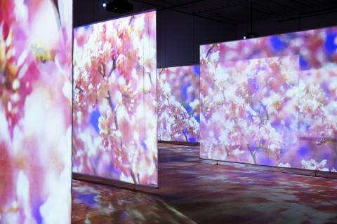 「蜷川実花展 Eternity in a Moment 瞬きの中の永遠」