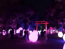 夏の夜の下鴨神社に幻想アート・スポットが三度あらわる！／鴨神社 糺の森の光の祭 Art by teamLab - TOKIO インカラミ