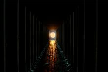 柳幸典《Icarus Cell》2008、⽝島精錬所美術館　撮影：泉⼭朗⼟ ©YANAGI STUDIO, Courtesy of the artist and Fukutake Foundation, Naoshima