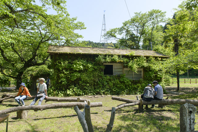 木村崇人／森ラジオ ステーション　photo 野口浩史：「アートいちはら2018秋  ～晴れたら市原、行こう～」市原湖畔美術館他、千葉県市原市南部（小湊鐵道上総牛久駅～養老渓谷駅一帯）