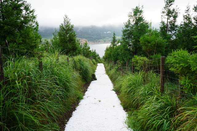 鮎川エリア　島袋道浩《白い道》© Reborn-Art Festival