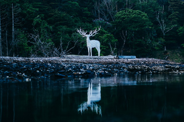 荻浜エリア　名和晃平《White Deer(Oshika)》© Reborn-Art Festival